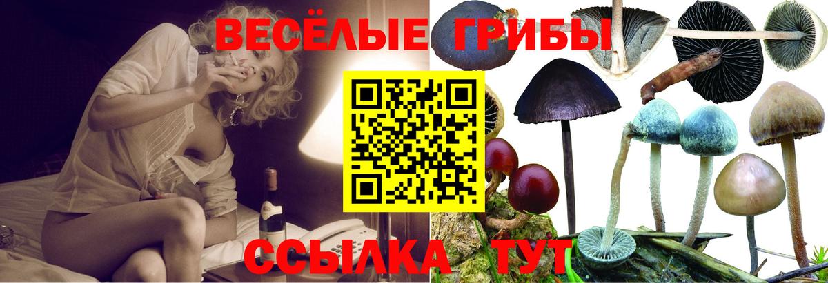 Галлюциногенные грибы ЛСД  как найти закладки  Вход с VPN  Кинешма  Псилоцибиновые грибы Magic Shrooms 
